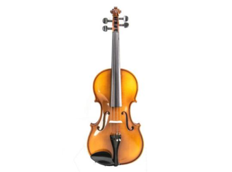 Hora V100 Student Violin