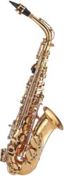 Kaizer Alto Saxophone