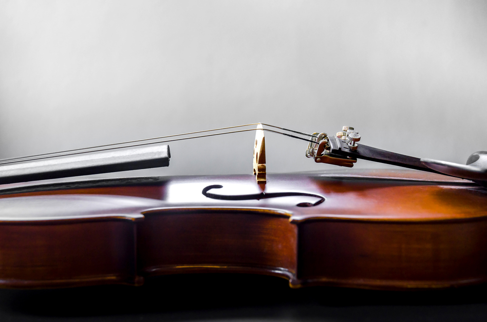 closeup of violin