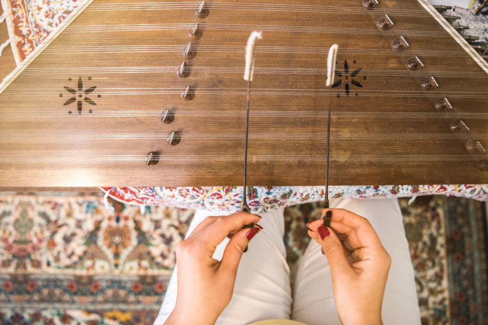 female hands play santur