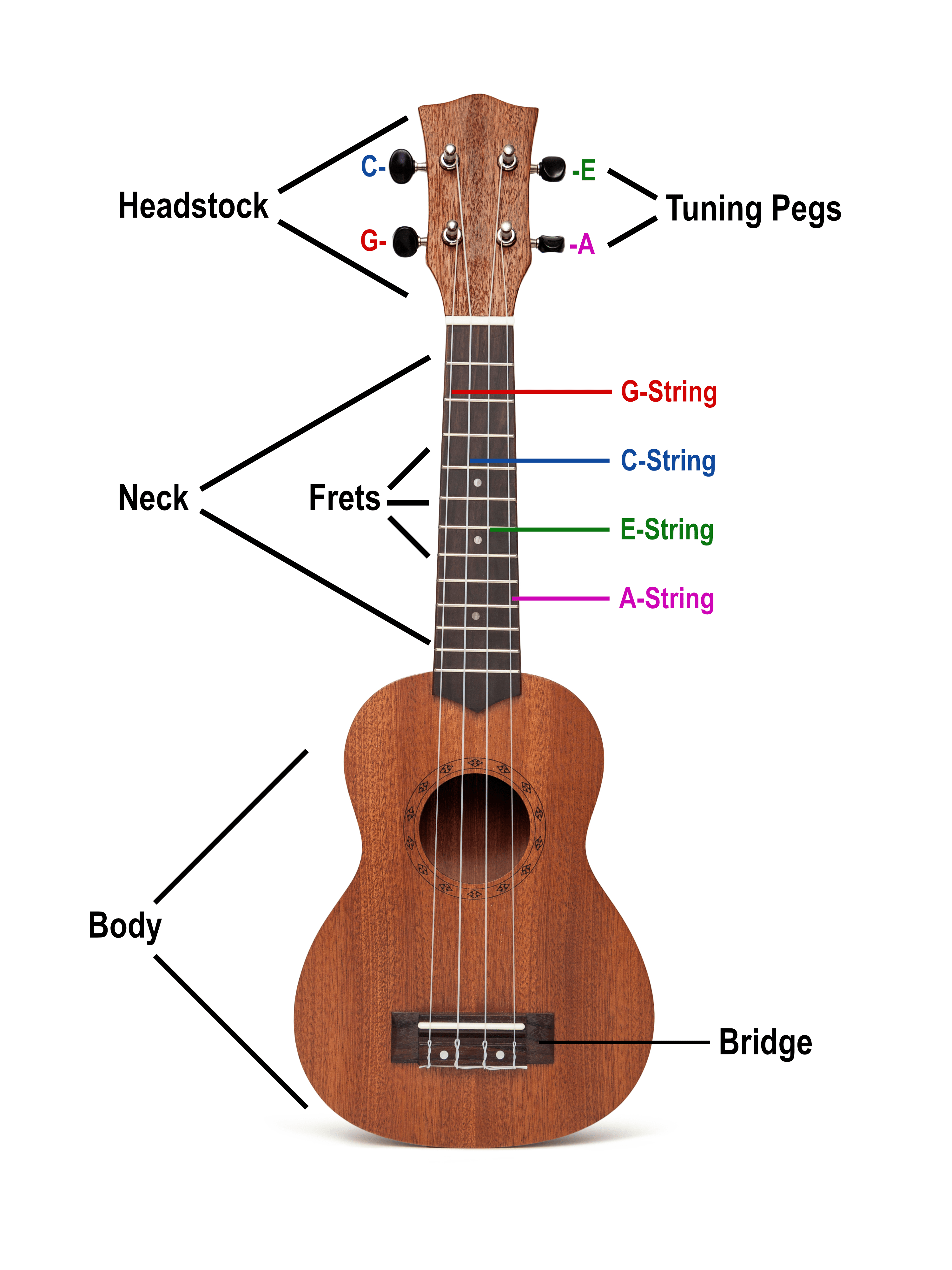 ukelele sizes