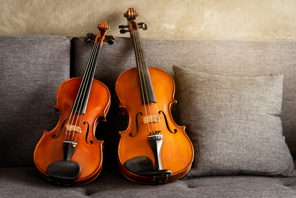 violas-and-violins-what-s-the-difference-musicvibe