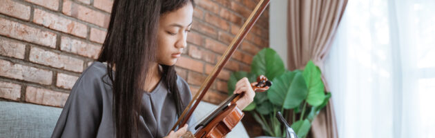 The 10 Best Violins for Beginners 2022