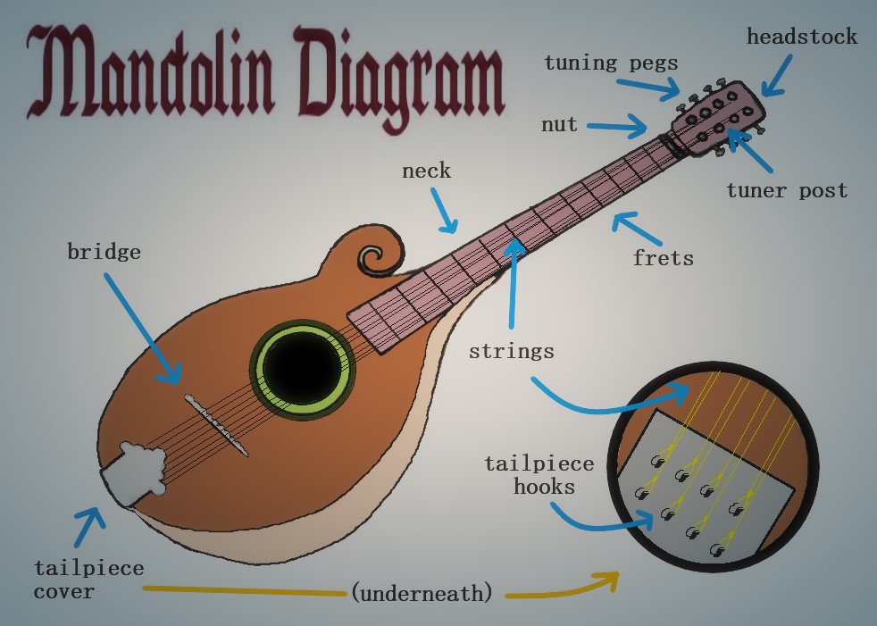 Mandolin Diagram